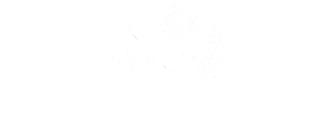 Couteaux Magasin