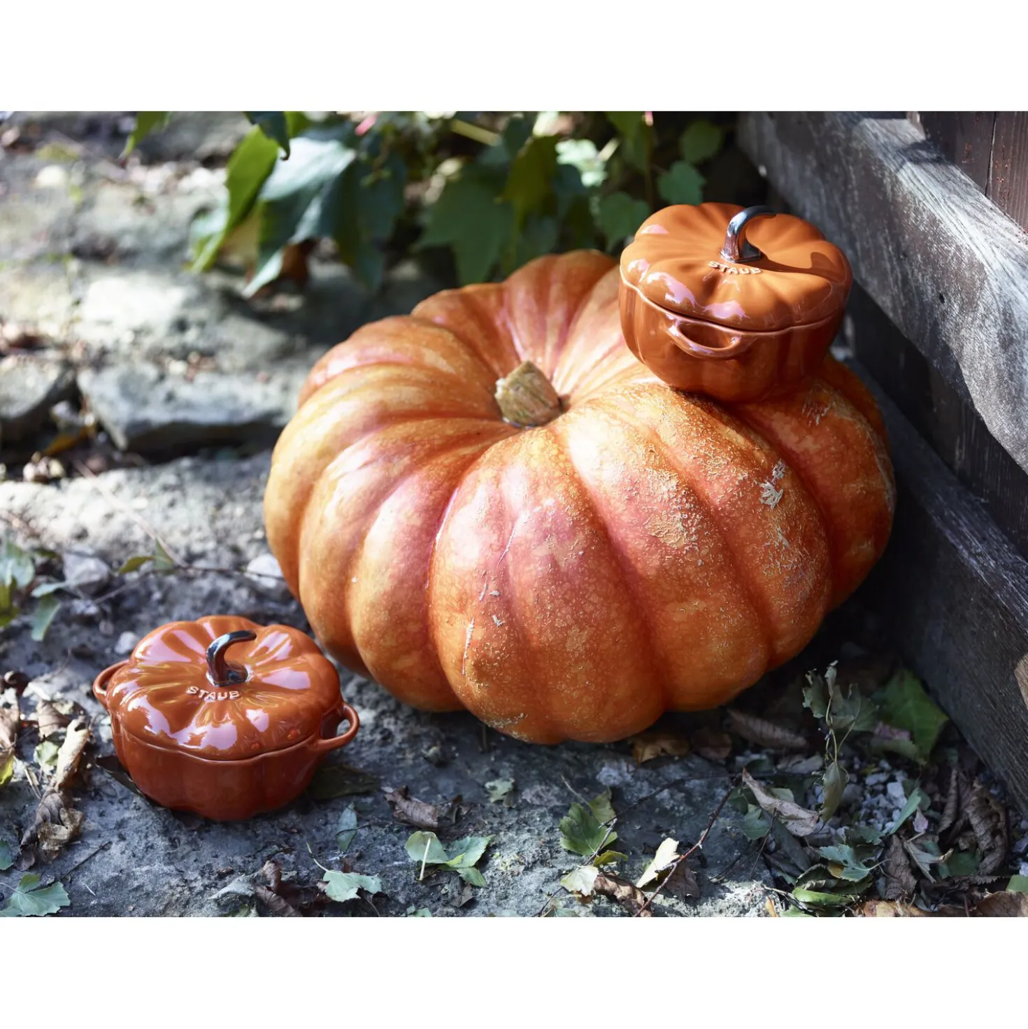 Cocotte 12 cm, Citrouille, Cannelle, Céramique