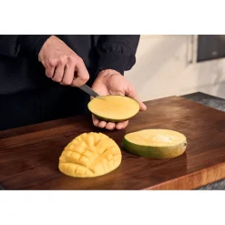 Couteau à larder et garnir 10 cm