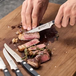 Couteaux à steak 4-pcs