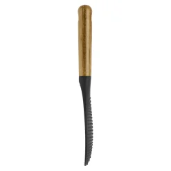 Cuillère à riz Silicone