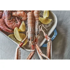 Ensemble de plats à four 3-pcs