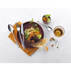 Ménagère 68-pcs, Poli